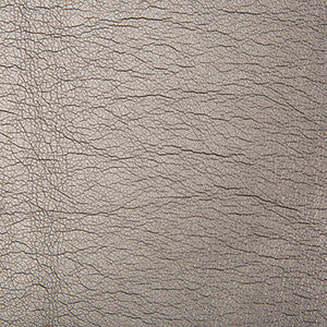 Maximo Carbon by Kravet Contract Fabric