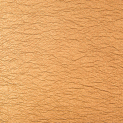 Maximo Burnished by Kravet Contract Fabric