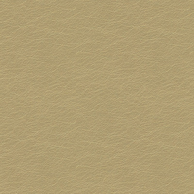 Maximo Pyrite by Kravet Contract Fabric