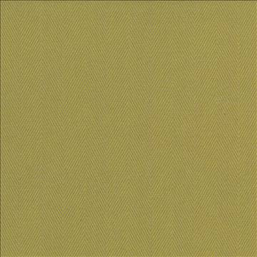 Mcclintock Apple by Kasmir Fabric 1442 100% Cotton INDIA 30,000 Wyzenbeek Double Rubs H: 1 7/8 inches, V: N/A 54 - 56 - Fabric Carolina - Kasmir