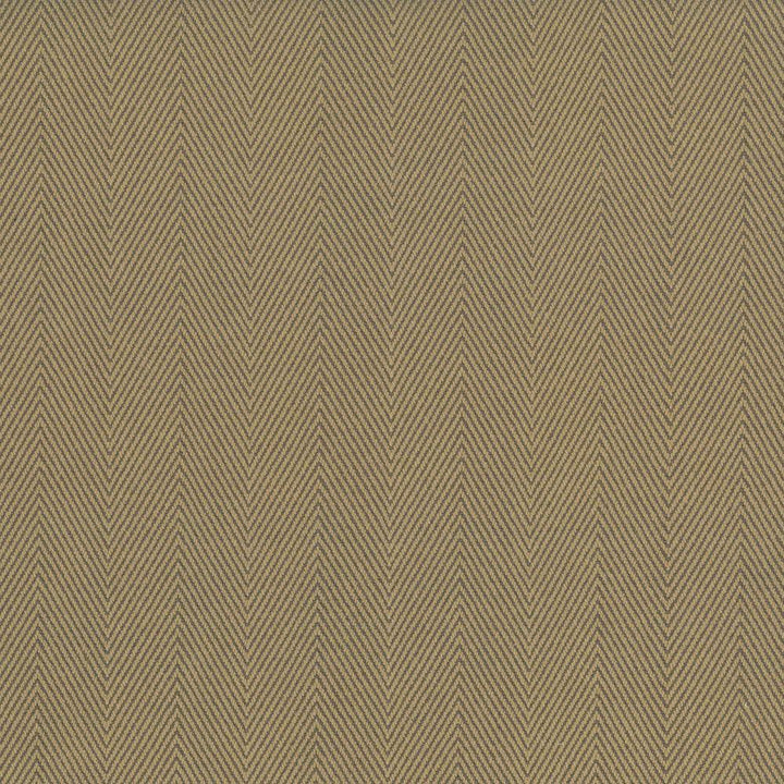 Mcclintock Camel by Kasmir Fabric 1438 100% Cotton
 INDIA </p><p>Repeat: Horizontal: 1 7/8 inches and Vertical: N/A 54 - 56 - Fabric Carolina -
