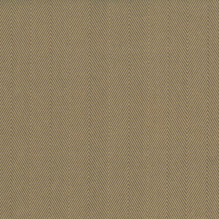 Mcclintock Camel by Kasmir Fabric 1438 INDIA 30,000 Wyzenbeek Double Rubs H: 1 7/8 inches, V:N/A 54 - 56 - Fabric Carolina - Kasmir