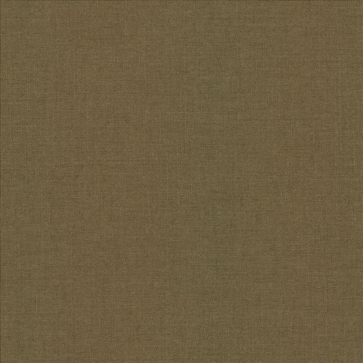 Mcdowell Burlap  by Kasmir Fabric 5184 100% Polyester  INDIA  </p><p>Repeat: Horizontal: N/A and Vertical: N/A 55  - Fabric Carolina -