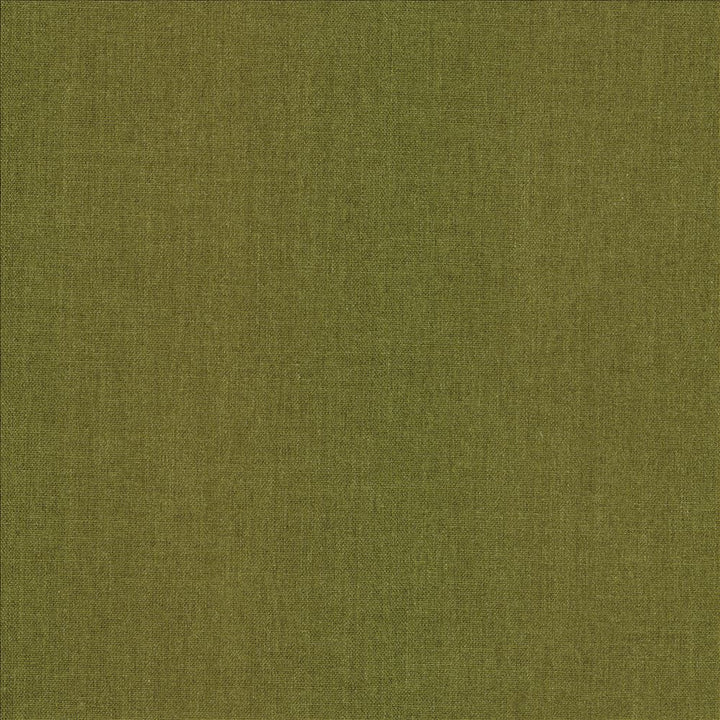 Mcdowell Caper  by Kasmir Fabric 5184 100% Polyester  INDIA  </p><p>Repeat: Horizontal: N/A and Vertical: N/A 55  - Fabric Carolina -