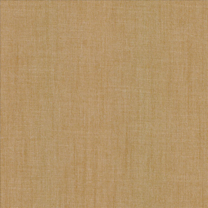 Mcdowell Caramel  by Kasmir Fabric 5184 100% Polyester  INDIA  </p><p>Repeat: Horizontal: N/A and Vertical: N/A 55  - Fabric Carolina -