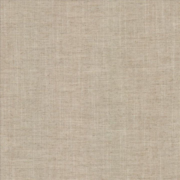 Mcdowell Flax  by Kasmir Fabric 5184 100% Polyester  INDIA  </p><p>Repeat: Horizontal: N/A and Vertical: N/A 55  - Fabric Carolina -