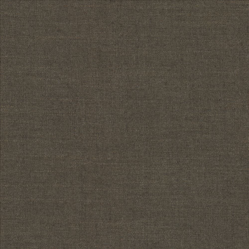 Mcdowell Java  by Kasmir Fabric 5184 100% Polyester  INDIA  </p><p>Repeat: Horizontal: N/A and Vertical: N/A 55  - Fabric Carolina -