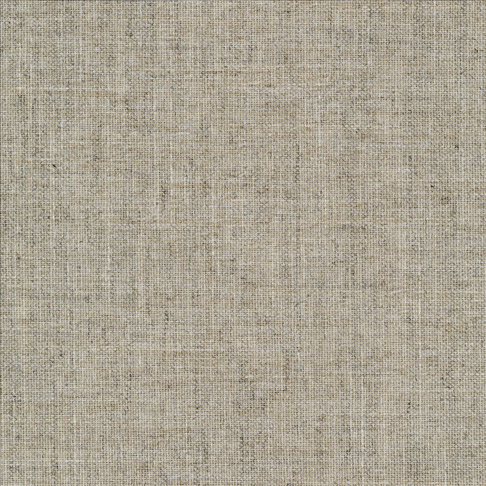 Mcdowell Jute  by Kasmir Fabric 5184 100% Polyester  INDIA  </p><p>Repeat: Horizontal: N/A and Vertical: N/A 55  - Fabric Carolina -