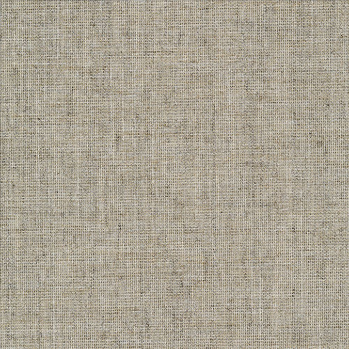 Mcdowell Jute  by Kasmir Fabric 5184 100% Polyester  INDIA  </p><p>Repeat: Horizontal: N/A and Vertical: N/A 55  - Fabric Carolina -