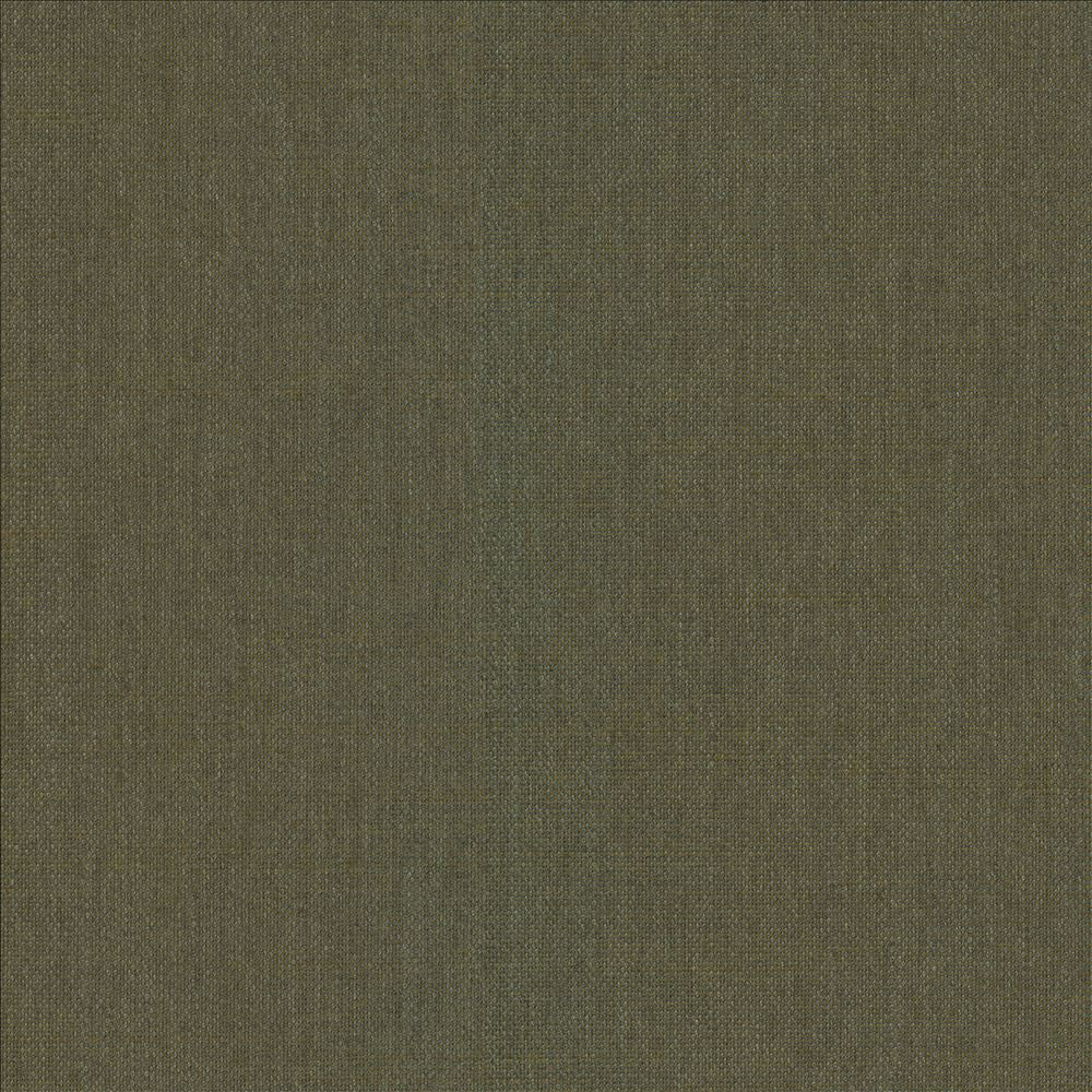Mcdowell Kashmir  by Kasmir Fabric 5184 100% Polyester  INDIA  </p><p>Repeat: Horizontal: N/A and Vertical: N/A 55  - Fabric Carolina -