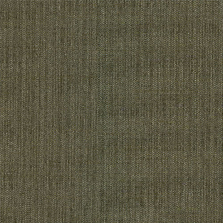 Mcdowell Kashmir  by Kasmir Fabric 5184 100% Polyester  INDIA  </p><p>Repeat: Horizontal: N/A and Vertical: N/A 55  - Fabric Carolina -