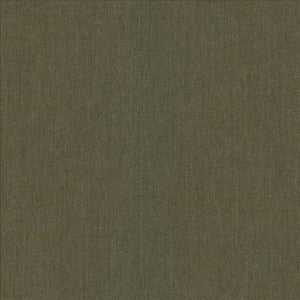 Mcdowell Kashmir  by Kasmir Fabric