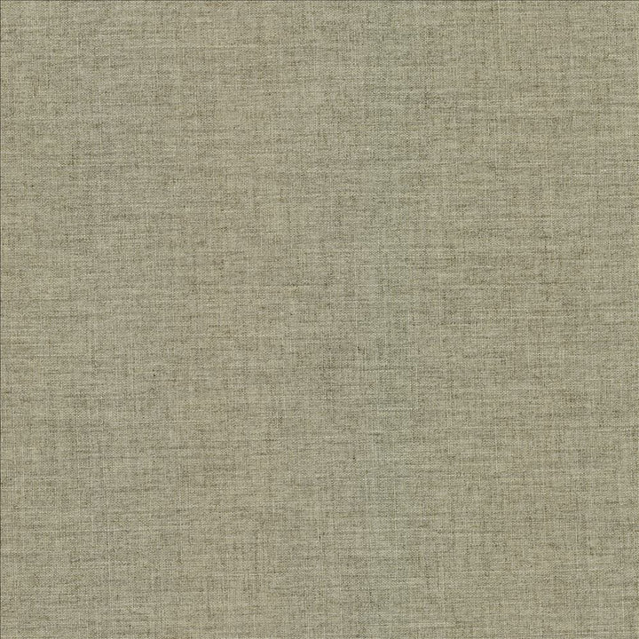 Mcdowell Khaki  by Kasmir Fabric 5184 100% Polyester  INDIA  </p><p>Repeat: Horizontal: N/A and Vertical: N/A 55  - Fabric Carolina -