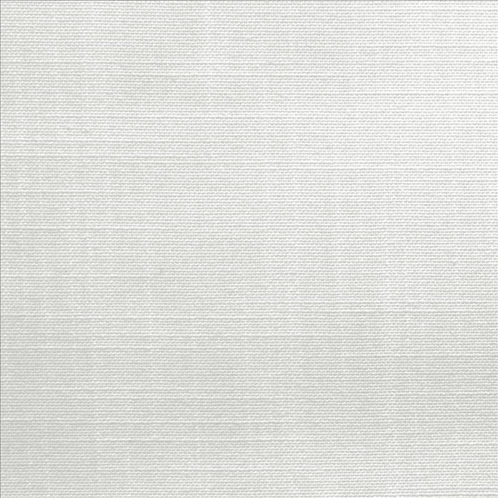 Mcdowell Optic White  by Kasmir Fabric 5184 100% Polyester  INDIA  </p><p>Repeat: Horizontal: N/A and Vertical: N/A 55  - Fabric Carolina -