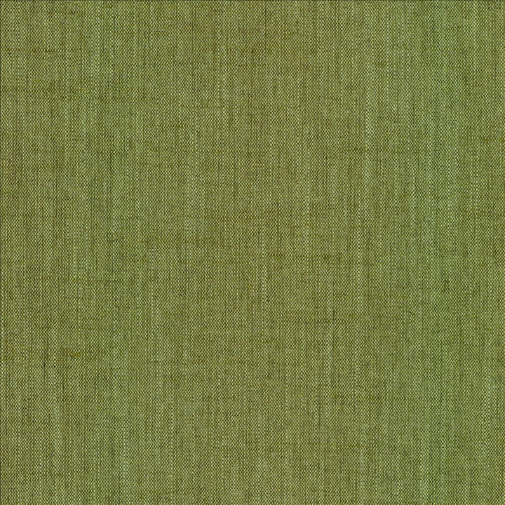 Mcdowell Palm  by Kasmir Fabric 5184 100% Polyester  INDIA  </p><p>Repeat: Horizontal: N/A and Vertical: N/A 55  - Fabric Carolina -
