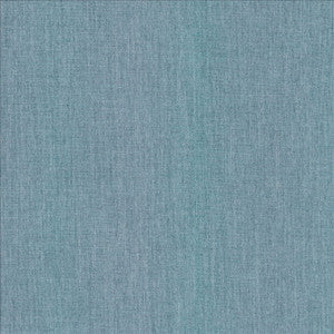 Mcdowell Rain  by Kasmir Fabric