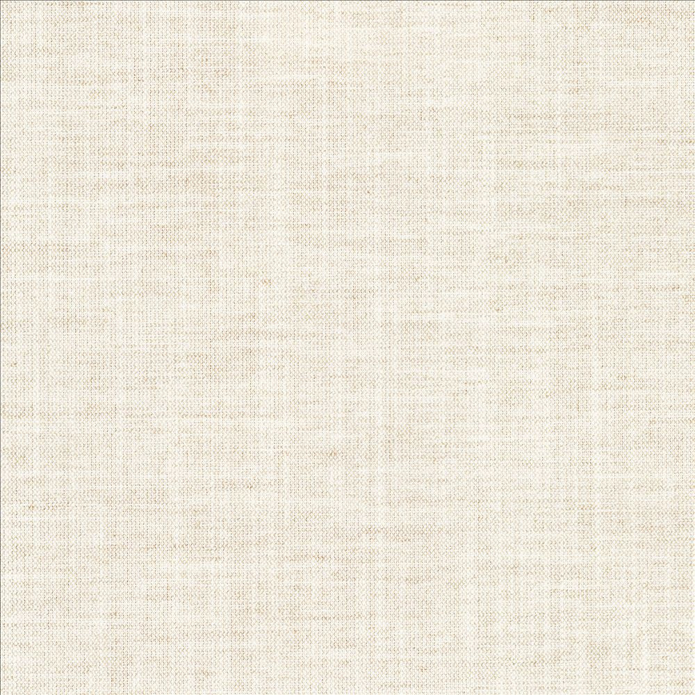 Mcdowell Shell  by Kasmir Fabric 5184 100% Polyester  INDIA  </p><p>Repeat: Horizontal: N/A and Vertical: N/A 55  - Fabric Carolina -