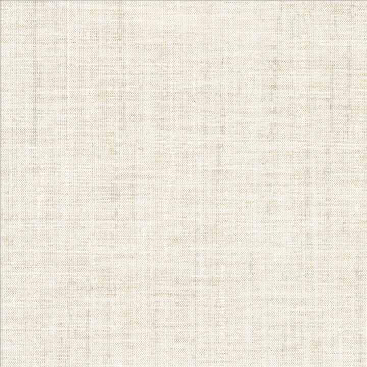 Mcdowell Shell  by Kasmir Fabric 5184 100% Polyester  INDIA  </p><p>Repeat: Horizontal: N/A and Vertical: N/A 55  - Fabric Carolina -