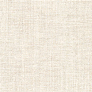Mcdowell Shell  by Kasmir Fabric