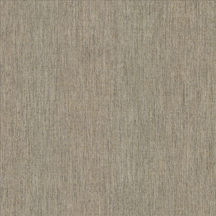 Mcdowell Travertine  by Kasmir Fabric 5184 100% Polyester  INDIA  </p><p>Repeat: Horizontal: N/A and Vertical: N/A 55  - Fabric Carolina -