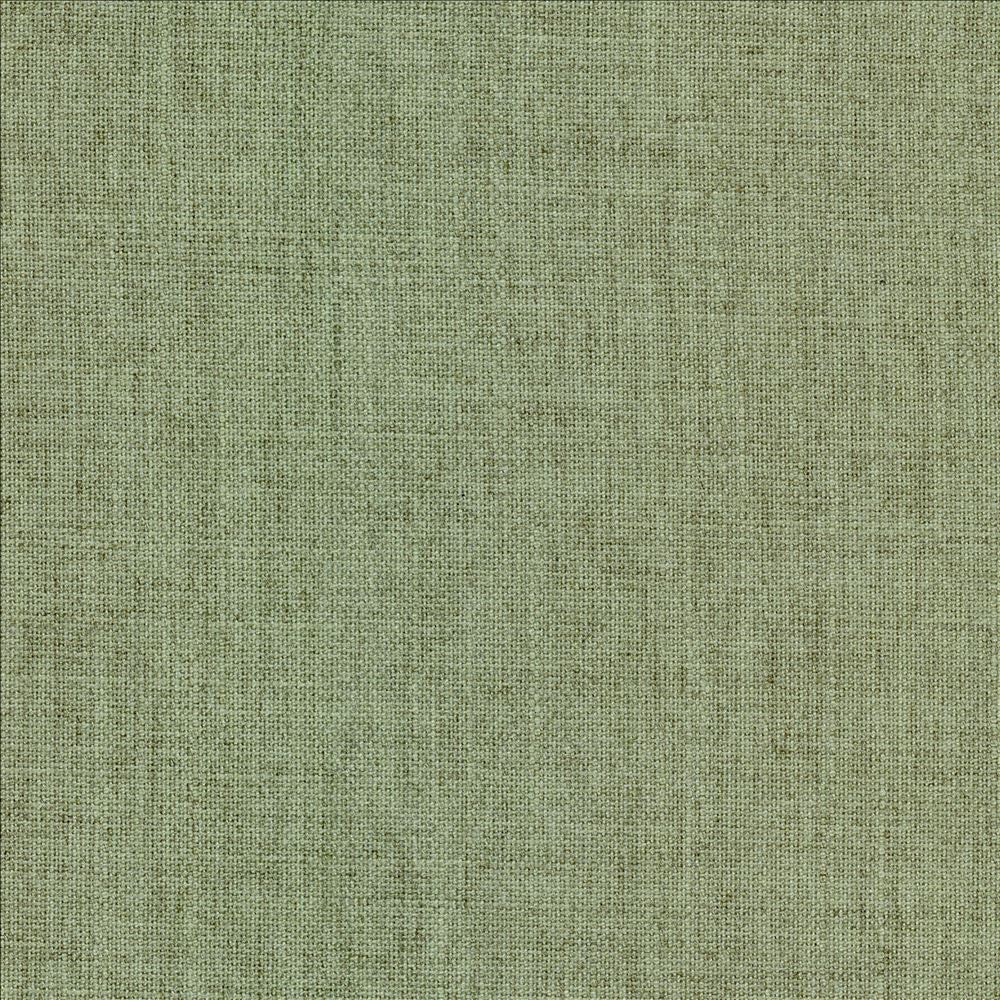 Mcdowell Willow  by Kasmir Fabric 5184 100% Polyester  INDIA  </p><p>Repeat: Horizontal: N/A and Vertical: N/A 55  - Fabric Carolina -