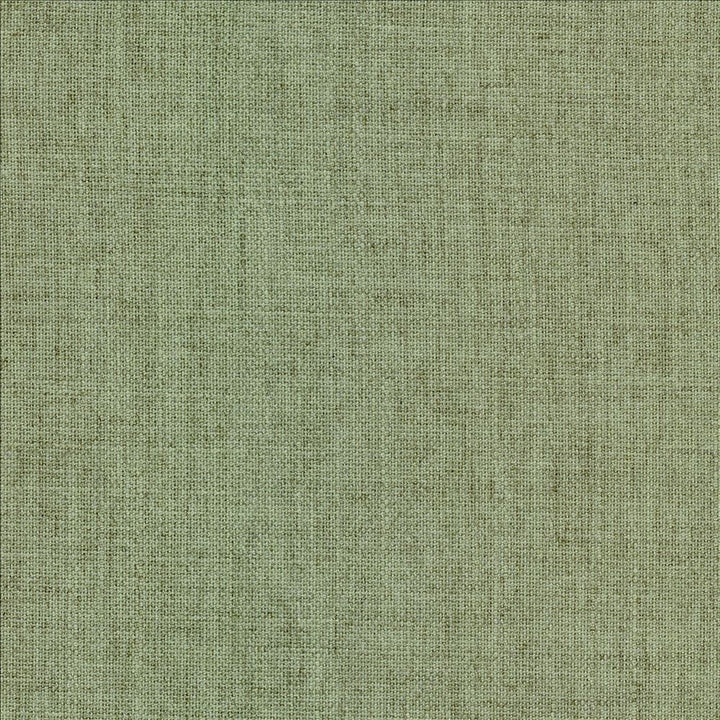 Mcdowell Willow  by Kasmir Fabric 5184 100% Polyester  INDIA  </p><p>Repeat: Horizontal: N/A and Vertical: N/A 55  - Fabric Carolina -