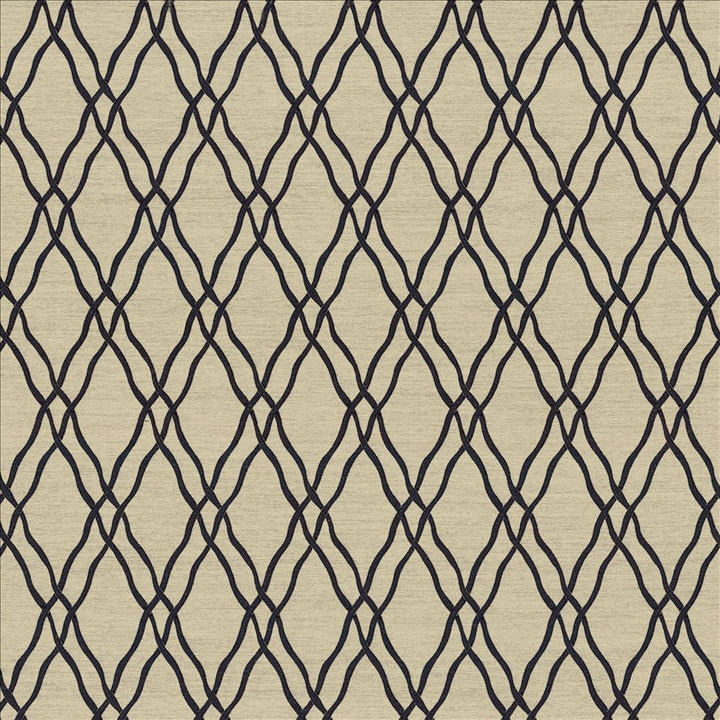 Meander Trellis Black by Kasmir Fabric 5067 100% Polyester
 CHINA 15,000 Wyzenbeek Double Rubs Horizontal: 3 4/8 inches and Vertical: 7 6/8 inches 56 - Fabric Carolina -