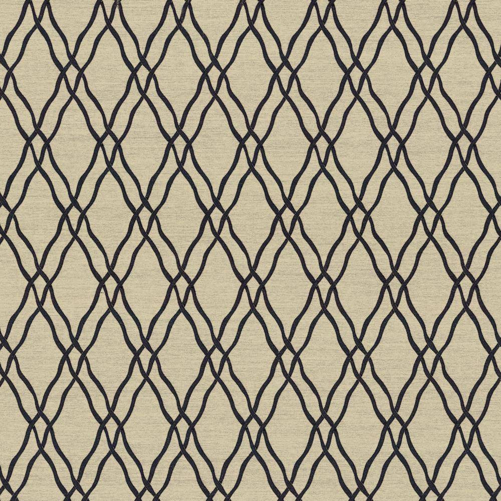 Meander Trellis Black by Kasmir Fabric 5067 100% Polyester
 CHINA </p><p>Repeat: Horizontal: 3 4/8 inches and Vertical: 7 6/8 inches 56 - 57 - Fabric Carolina -