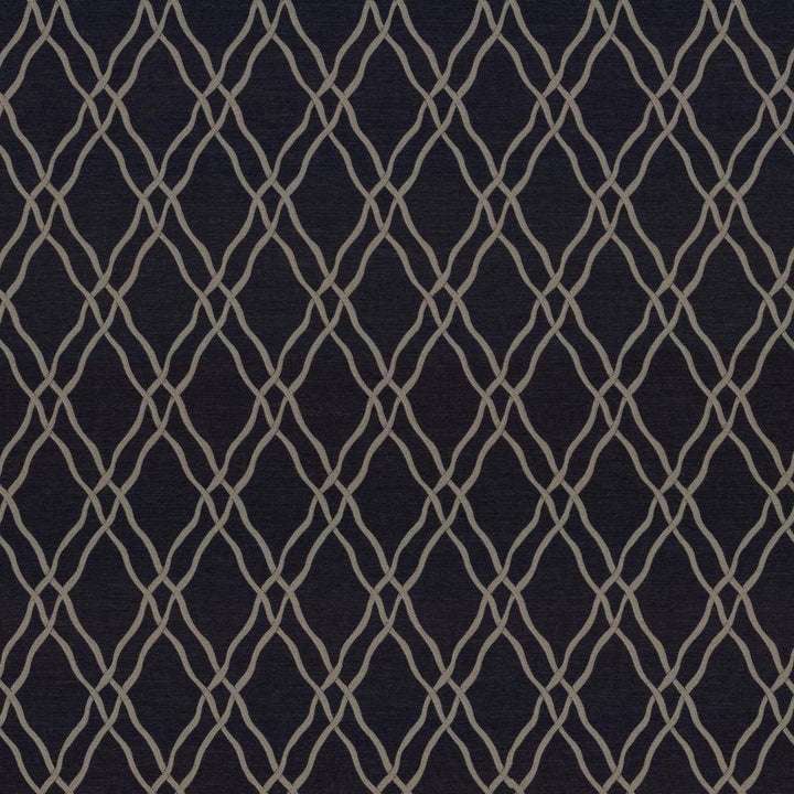 Meander Trellis Charcoal by Kasmir Fabric 5068 100% Polyester
 CHINA </p><p>Repeat: Horizontal: 3 4/8 inches and Vertical: 7 6/8 inches 56 - 57 - Fabric Carolina -
