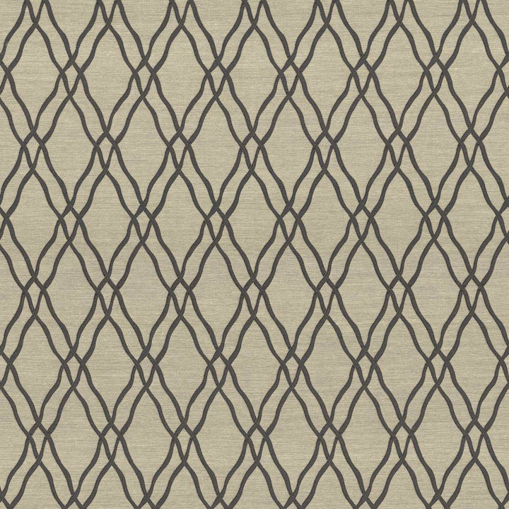 Meander Trellis Slate by Kasmir Fabric 5067 100% Polyester
 CHINA </p><p>Repeat: Horizontal: 3 4/8 inches and Vertical: 7 6/8 inches 56 - 57 - Fabric Carolina -