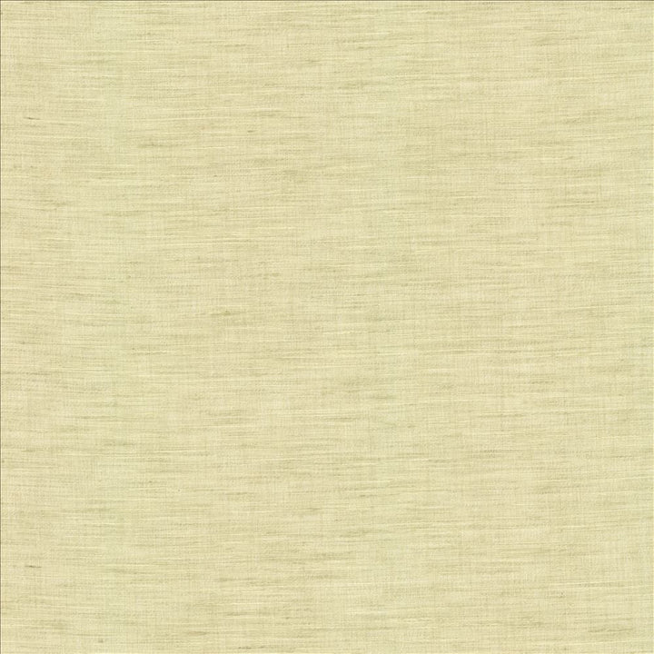 Mercado Celadon by Kasmir Fabric 5181 100% Polyester
 INDIA Not Tested </p><p>Repeat: Horizontal: N/A and Vertical: N/A 54 - Fabric Carolina -
