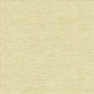 Mercado Celadon by Kasmir Fabric