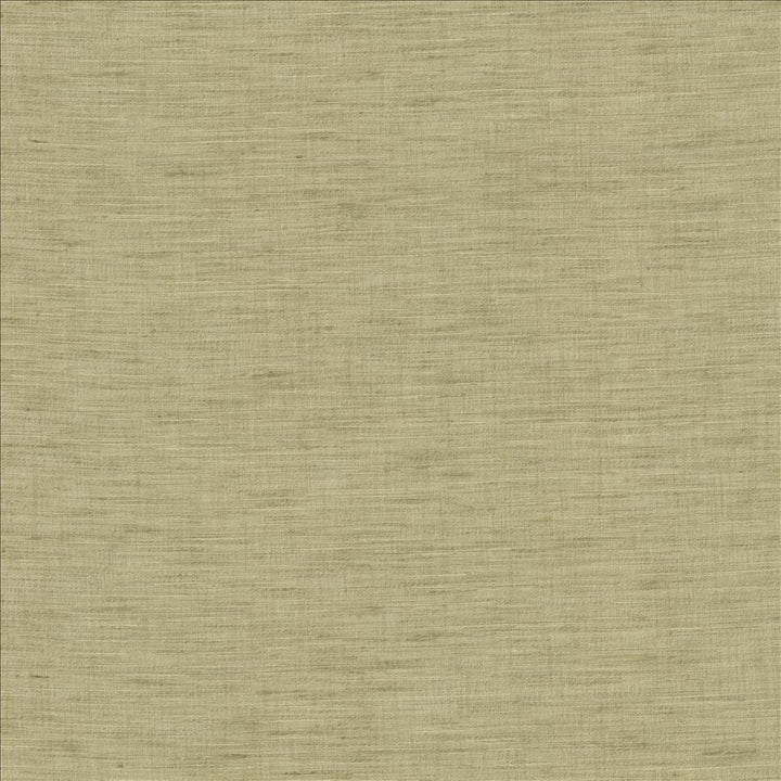 Mercado Celadon by Kasmir Fabric 5181 100% Polyester
 INDIA </p><p>Repeat: Horizontal: N/A and Vertical: N/A 54 - Fabric Carolina -