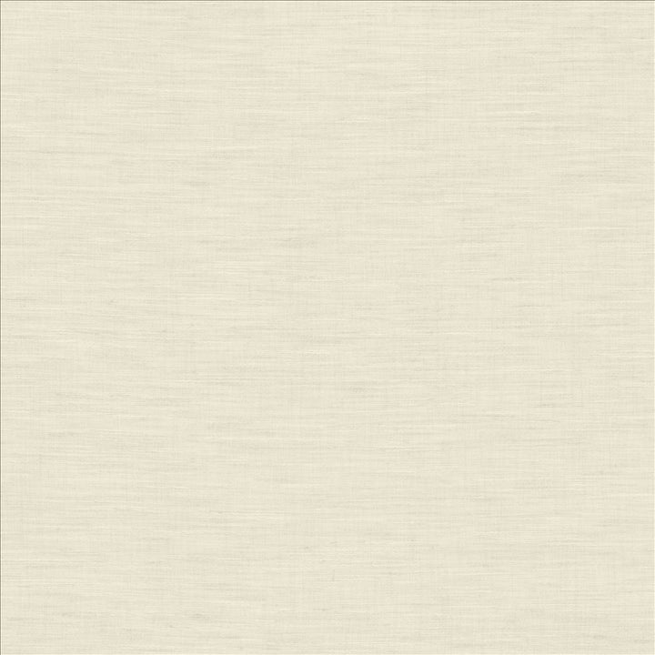 Mercado Chalk by Kasmir Fabric 5181 100% Polyester
 INDIA </p><p>Repeat: Horizontal: N/A and Vertical: N/A 54 - Fabric Carolina -