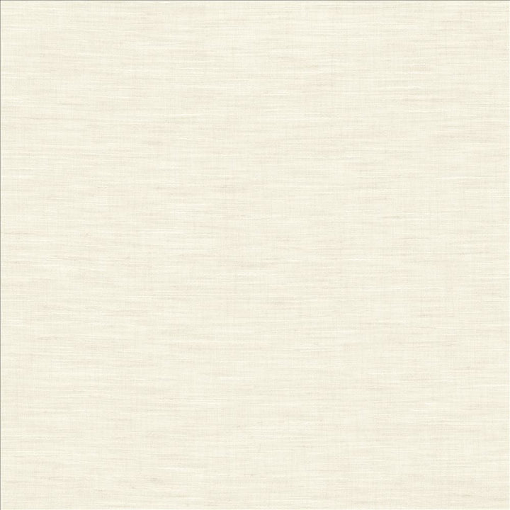 Mercado Chalk by Kasmir Fabric 5181 100% Polyester
 INDIA Not Tested </p><p>Repeat: Horizontal: N/A and Vertical: N/A 54 - Fabric Carolina -