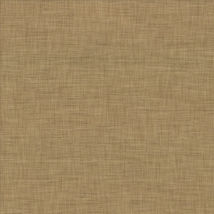 Mercado Dune by Kasmir Fabric 5181 100% Polyester
 INDIA </p><p>Repeat: Horizontal: N/A and Vertical: N/A 54 - Fabric Carolina -