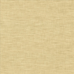 Mercado Flax by Kasmir Fabric