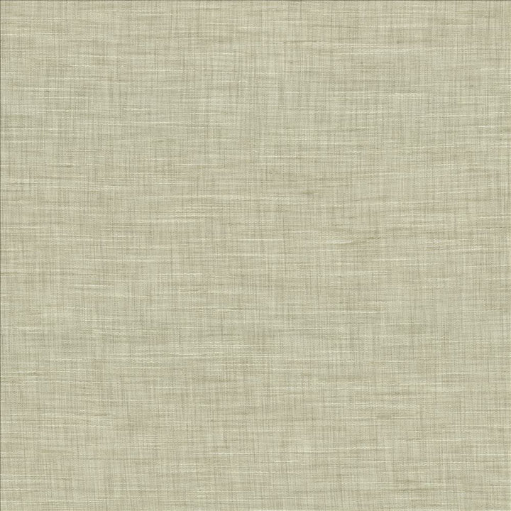 Mercado Mist by Kasmir Fabric 5181 100% Polyester
 INDIA Not Tested </p><p>Repeat: Horizontal: N/A and Vertical: N/A 54 - Fabric Carolina -
