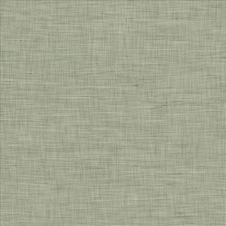 Mercado Mist by Kasmir Fabric 5181 100% Polyester
 INDIA </p><p>Repeat: Horizontal: N/A and Vertical: N/A 54 - Fabric Carolina -
