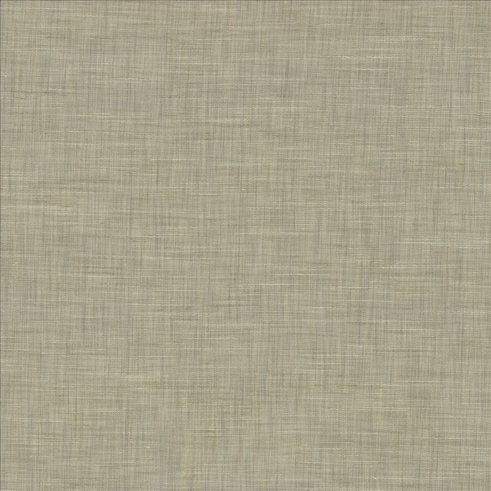 Mercado Platinum by Kasmir Fabric 5181 100% Polyester
 INDIA </p><p>Repeat: Horizontal: N/A and Vertical: N/A 54 - Fabric Carolina -