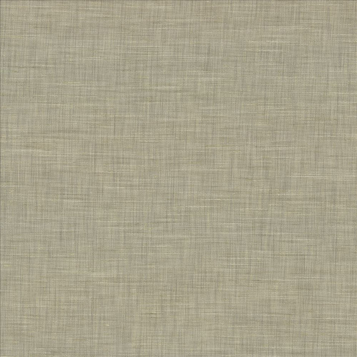 Mercado Platinum by Kasmir Fabric 5181 100% Polyester
 INDIA </p><p>Repeat: Horizontal: N/A and Vertical: N/A 54 - Fabric Carolina -