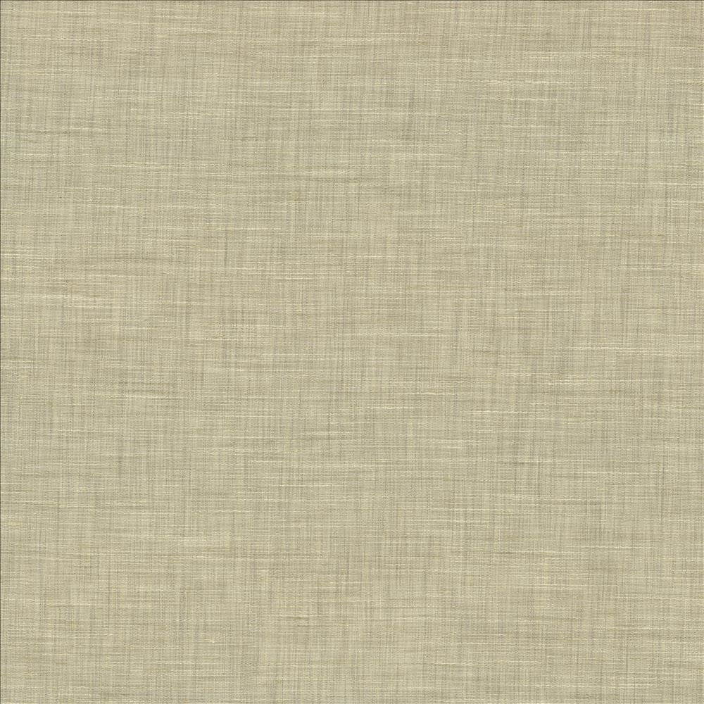 Mercado Platinum by Kasmir Fabric 5181 100% Polyester
 INDIA Not Tested </p><p>Repeat: Horizontal: N/A and Vertical: N/A 54 - Fabric Carolina -