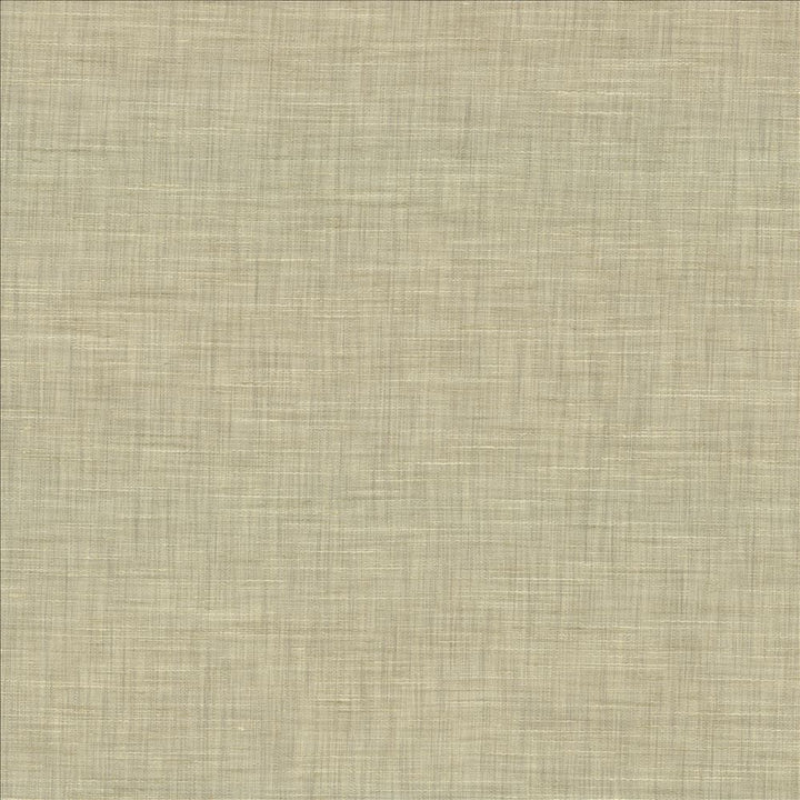 Mercado Platinum by Kasmir Fabric 5181 100% Polyester
 INDIA Not Tested </p><p>Repeat: Horizontal: N/A and Vertical: N/A 54 - Fabric Carolina -