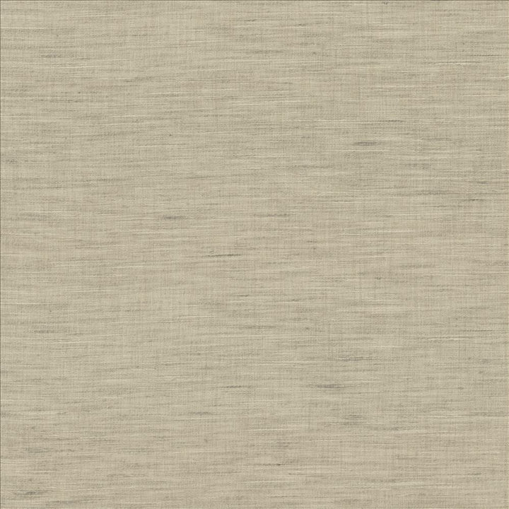 Mercado Smoke by Kasmir Fabric 5181 100% Polyester
 INDIA </p><p>Repeat: Horizontal: N/A and Vertical: N/A 54 - Fabric Carolina -