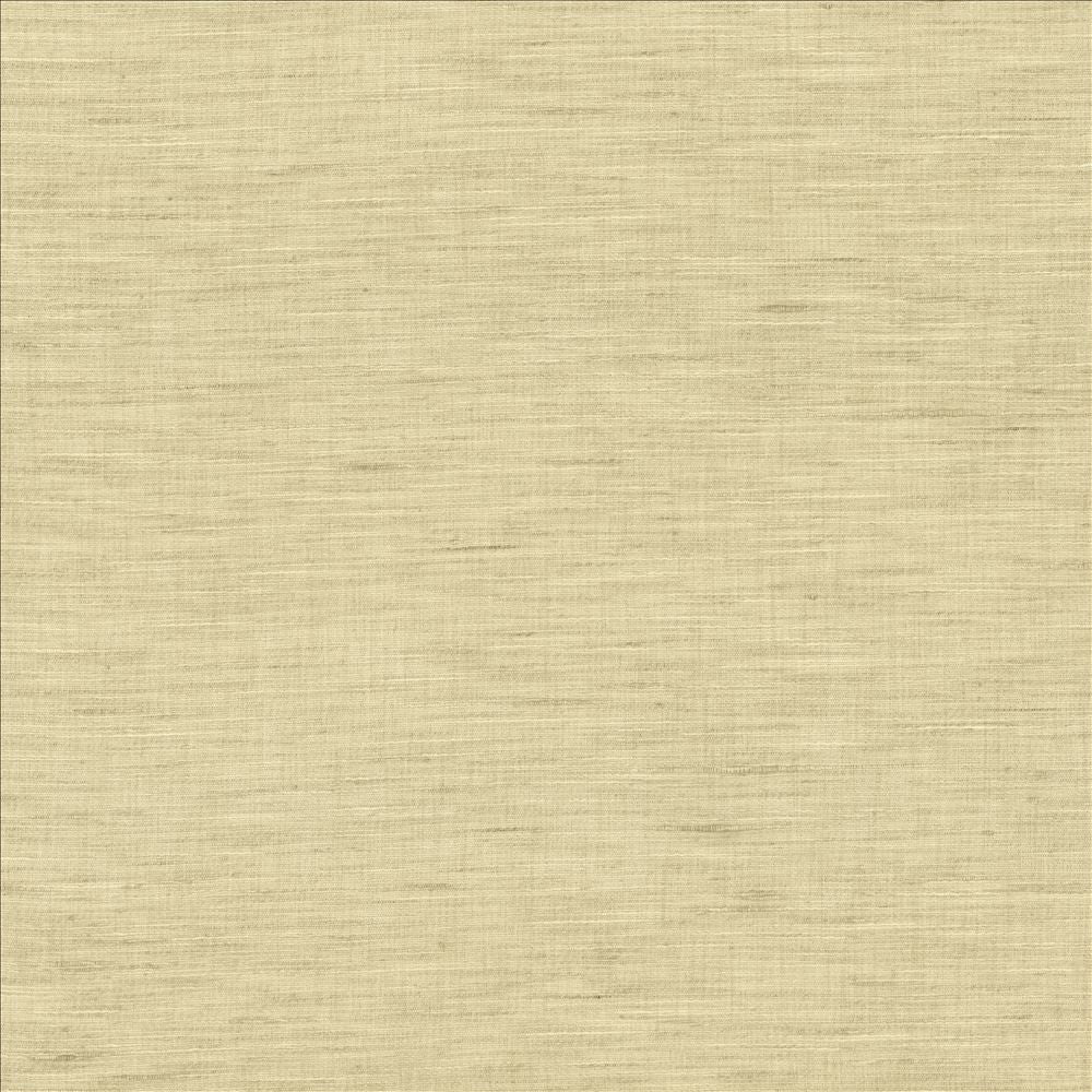 Mercado Smoke by Kasmir Fabric 5181 100% Polyester
 INDIA Not Tested </p><p>Repeat: Horizontal: N/A and Vertical: N/A 54 - Fabric Carolina -