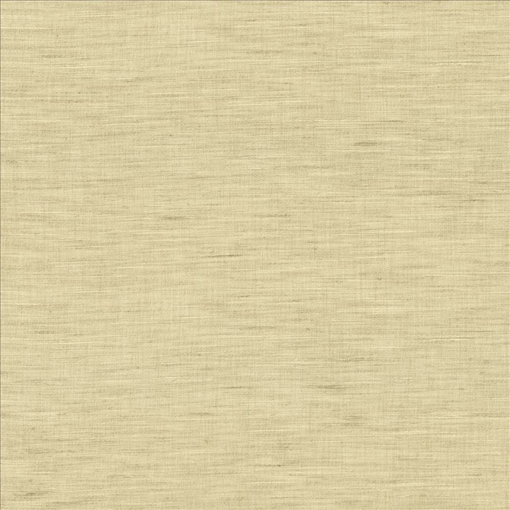 Mercado Smoke by Kasmir Fabric 5181 100% Polyester
 INDIA Not Tested </p><p>Repeat: Horizontal: N/A and Vertical: N/A 54 - Fabric Carolina -