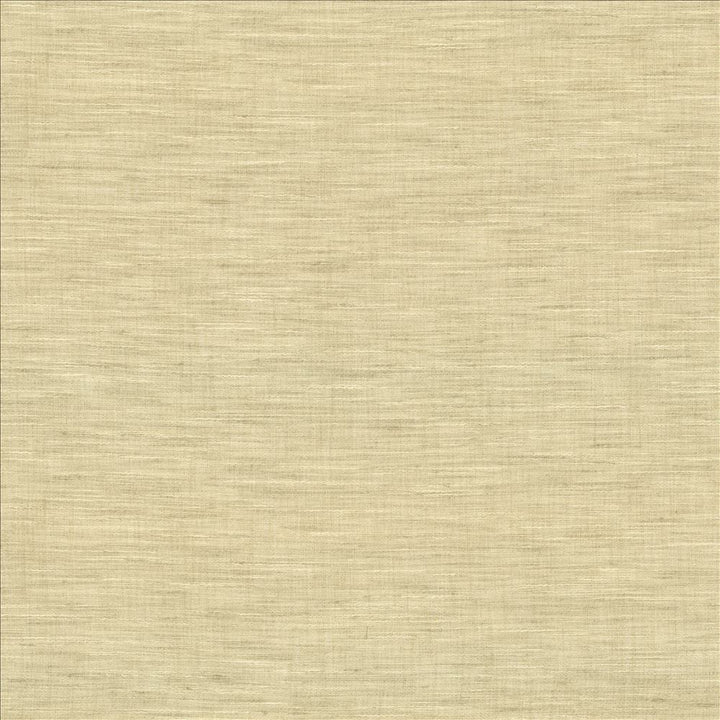 Mercado Stone by Kasmir Fabric 5181 100% Polyester
 INDIA Not Tested </p><p>Repeat: Horizontal: N/A and Vertical: N/A 54 - Fabric Carolina -