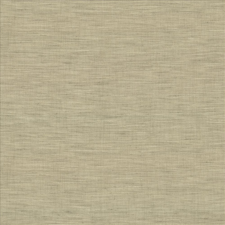 Mercado Stone by Kasmir Fabric 5181 100% Polyester
 INDIA </p><p>Repeat: Horizontal: N/A and Vertical: N/A 54 - Fabric Carolina -