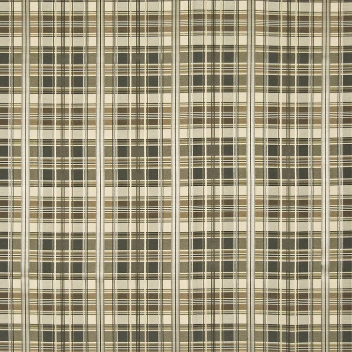 Merengue Shadow by Kasmir Fabric 1372 TAIWAN 70,000 Wyzenbeek Double Rubs H: 6 6/8 inches, V:8 2/8 inches 54 - Fabric Carolina - Kasmir