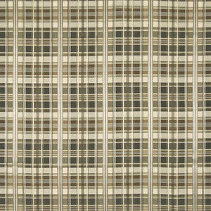 Merengue Shadow by Kasmir Fabric